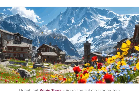 König Tours: Specialized Travel & Visa Services Portal